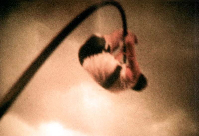 Catapult - Big clearance - &copy; AVFP P/L 2010