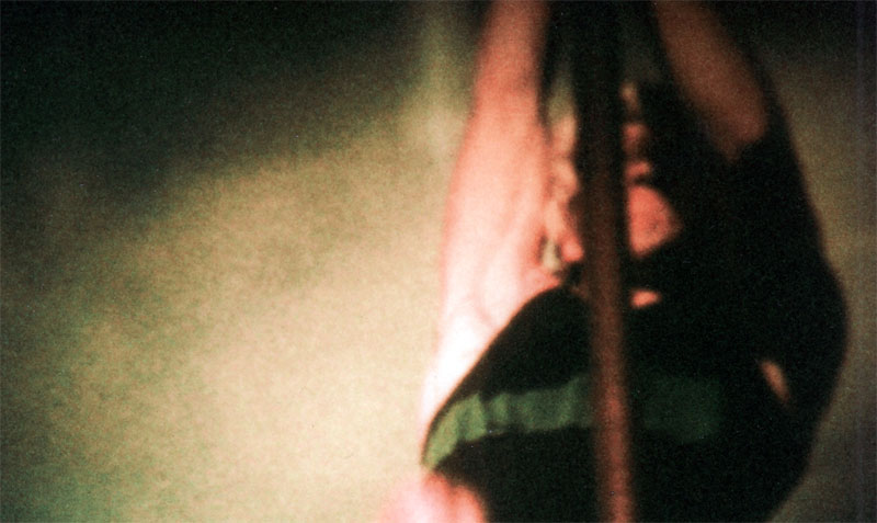 Johnson plant - &copy; AVFP P/L 2010